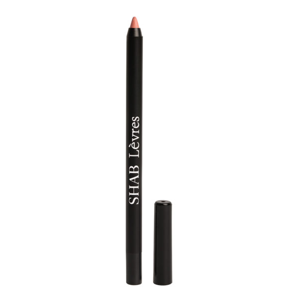 Lèvres Matte Liquid Lipstick – Naughty Nude